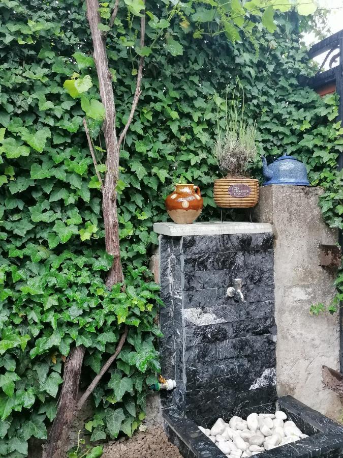 Autograph Boutique Home 9 Borjomi Εξωτερικό φωτογραφία